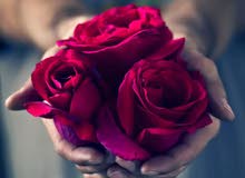 ابحث عن عمل ابحث عن عمل