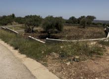 Residential Land for Sale in Jenin Meithalun