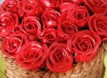 تم فتح الحجز علئ كيك ريس سنه الا يريد يرسل صفحه تم فتح الحجز علئ كيك ريس سنه الا يريد يرسل صفحه