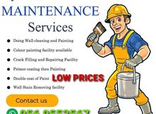 WALL PAINTERS LOW COST WALL PAINTERS LOW COST