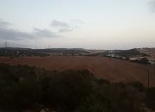 ارض للبيع بالجبل الاخضر ارض للبيع بالجبل الاخضر