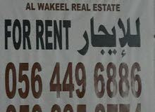شقق للايجار شقق للايجار