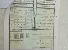 البريمي العقده جنوب خلف جامعه البريمي موقع ممتاز جدا بسعر مغري جدا البريمي العقده جنوب خلف جامعه البريمي موقع ممتاز جدا بسعر مغري جدا