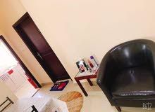 شقه مفروشه للايجار بعجمان منطقه النعميه شقه مفروشه للايجار بعجمان منطقه النعميه