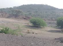 Farm Land for Sale in Taiz Other
