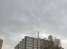 نرغب بالمشاركة مع شركات اجنبية نرغب بالمشاركة مع شركات اجنبية