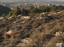Residential Land for Sale in Ramallah and Al-Bireh Other