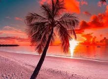شركة متخصصه لاداره وتشغيل الشقق المفروشه والفندقية شركة متخصصه لاداره وتشغيل الشقق المفروشه والفندقية