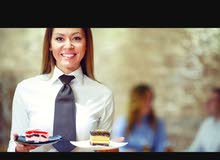 looking for waitress only female looking for waitress only female