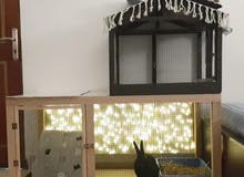cage for sale 20 bd only cage for sale 20 bd only