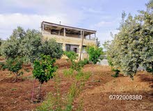 5 Bedrooms Farms for Sale in Jerash Unaybah