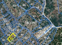 ارض للبيع كوشان طابو منطقه الف مشجره زيتون