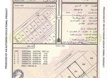 ارضين شبك في ولايه محوت امتداد نجد بتوفر جميع الخدمات ارضين شبك في ولايه محوت امتداد نجد بتوفر جميع الخدمات