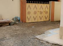منزل للاجار ف شناص منطقه العماني خلف مسجد اسماعيل بن قاسم منزل للاجار ف شناص منطقه العماني خلف مسجد اسماعيل بن قاسم