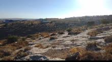Mixed Use Land for Sale in Hebron Dura