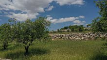 Farm Land for Sale in Jerash Soof