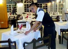 Technicien De Restaurant Luxueux Technicien De Restaurant Luxueux