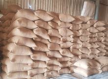متوفر ذرة بيضاء للحلال . white sourgham متوفر ذرة بيضاء للحلال . white sourgham