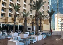 planting Date trees. planting palm trees. landscaping planting Date trees. planting palm trees. landscaping
