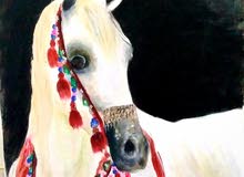 لوحة زيتية خيل عربي أصيل لوحة زيتية خيل عربي أصيل