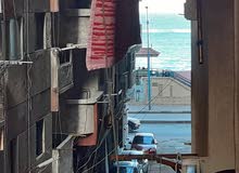 شقة في المندرة بحري خطوات من البحر شيراتون المنتزة شقة في المندرة بحري خطوات من البحر شيراتون المنتزة