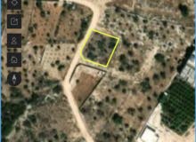 Mixed Use Land for Sale in Qalqilya Kafr Thulth
