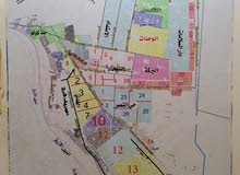 أجمل عروض شرق النيل أجمل عروض شرق النيل