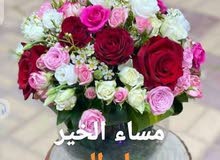 تيوتا بطه او راس ثور تيوتا بطه او راس ثور
