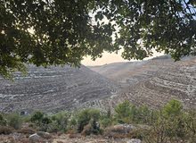 Mixed Use Land for Sale in Hebron Beit Ummar