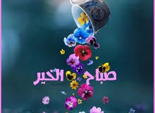 كويتيه ابحث عن عمل لدى دبلوم محاسبه وخبره 15 سنه في مجال السكرتاريه كويتيه ابحث عن عمل لدى دبلوم محاسبه وخبره 15 سنه في مجال السكرتاريه