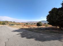 Farm Land for Sale in Salt Al Balqa'