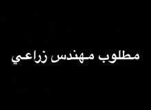 مطلوب مهندس زراعي "شعير" مطلوب مهندس زراعي "شعير"