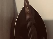 Electric Oud Electric Oud