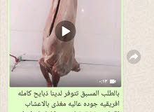 تتوفر ذبايح كامله تتوفر ذبايح كامله