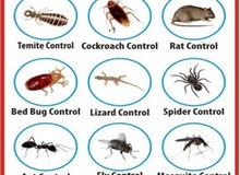 pest control services and cleaning services