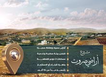Residential Land for Sale in Zarqa Sarout