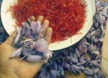 تويتا كامري تويتا كامري