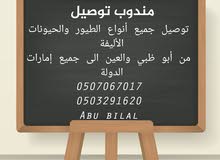 مندوب توصيل مندوب توصيل