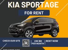 Kia Sportage for rent