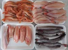 بيع الأسماك الطرية .. بيع الأسماك الطرية ..