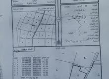 مزرعة 12 ألف متر في منح بونخيلة أول خط على الشارع القار كورنر مزرعة 12 ألف متر في منح بونخيلة أول خط على الشارع القار كورنر