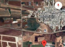 Industrial Land for Sale in Jenin Al-Nasra St.