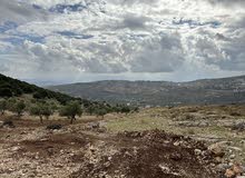 Farm Land for Sale in Jerash Soof