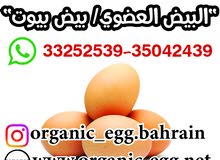 بيض عضوي ORGANIC EGG بيض عضوي ORGANIC EGG