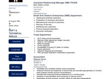 searching for Accountant job searching for Accountant job
