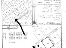 مطلوب قطعه الارض 637 في صحم المرفع يتواصل معي مطلوب قطعه الارض 637 في صحم المرفع يتواصل معي