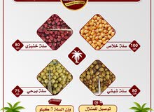 رطب خلاص شيشي خنيزي برحي رطب خلاص شيشي خنيزي برحي