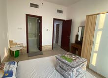 750ft² 1 Bedroom Apartments for Rent in Ajman Al Naemiyah