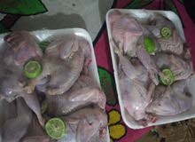 سمان تغذيه طبيعيه سمان تغذيه طبيعيه