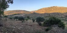 Mixed Use Land for Sale in Ramallah and Al-Bireh Kafr Ein